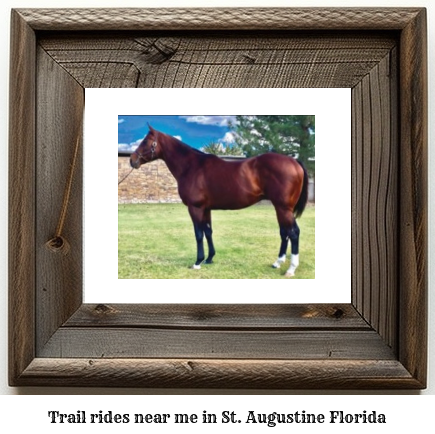 trail rides near me in St. Augustine, Florida